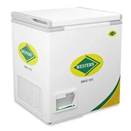 Western D300H124 Deep Freezer